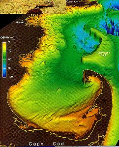 fish4.jpg (30973 bytes)