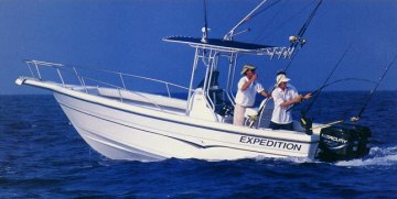 starcraft2.jpg (17285 bytes)